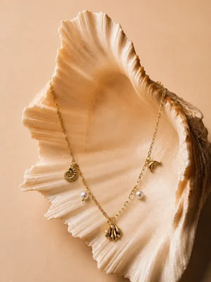 Website 2