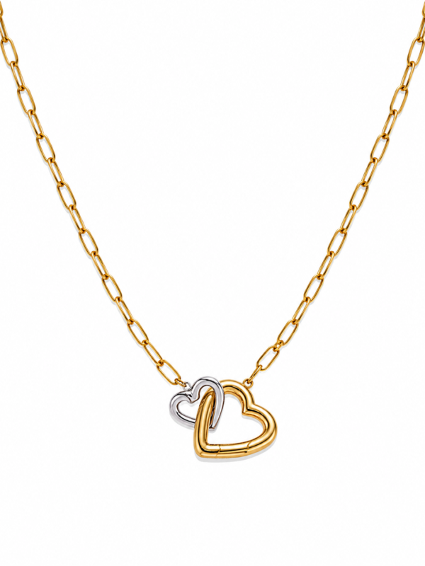 Dual Interlocking Heart Necklace