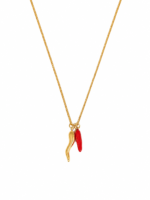 Too Hot Chilli Necklace